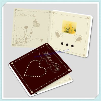 Video Brochure with Customized Design