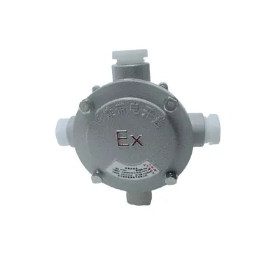 D-4W-F Industrial Explosion-Proof Branch Junction Box for Safe Terminals