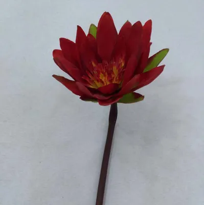 Artificial Silk Water Lily Flower for Decoration