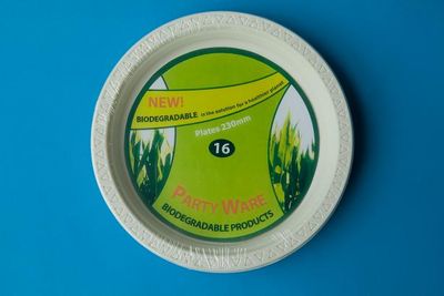 Biodegradable 9"Plate Set (THH--27)