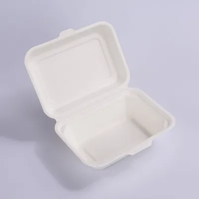 Eco-Friendly Disposable Biodegradable Sugarcane Take Away Food Container 600ml Bagasse Lunch Box