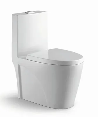 Popular Style Floor Mounted Bathroom Closestool Washdown One Piece Toilet