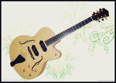 17 Inch Two Pickup Jazz Guitar (YZ-17N)