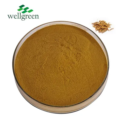 Polygala Tenuifolia Extract Radix Polygalae Extract 10: 1 Polygala Tenuifolia Root Extract