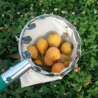 Fruit Catcher Cutter Fruit Picking Tool Safe Basket Bag with Telescopic Long Handle Easy Grip Fruit Picker