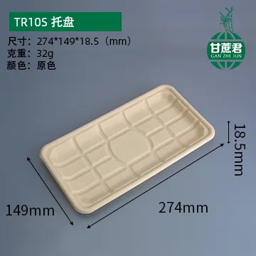 Tr10s-Disposable Biodegradable Family Party Food Tray