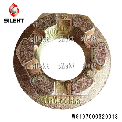 Sinotruk HOWO Flange Nut 179000320013 HOWO 371 Parts