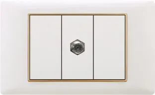 118 Type White PC South American TV Socket