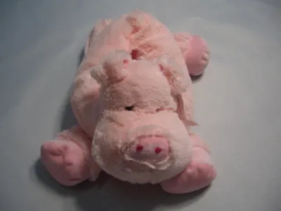 Tissie Paper Cover Pig