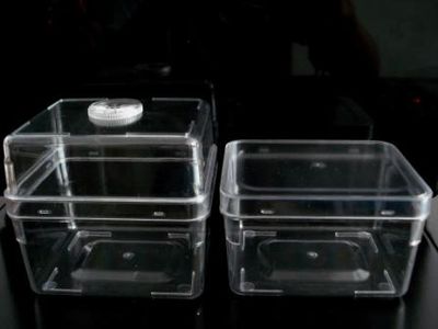 Plant Tissue Culture Container