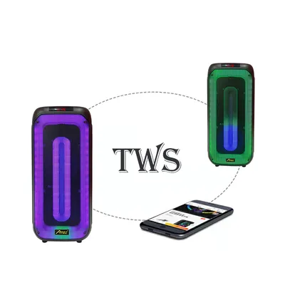 Portable Bluetooth Speaker Dual 8" Rechargeable Speaker Party Light, Wheels, Wireless Mic