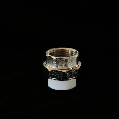 PPR Union with Copper Insert Female Threaded Socket Union of PPR Coupling Plastic Pipe Fittings