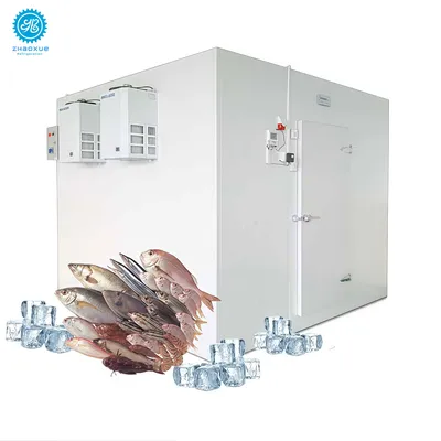 Energy Efficient Cold Room with PU Insulated Sandwich Panel