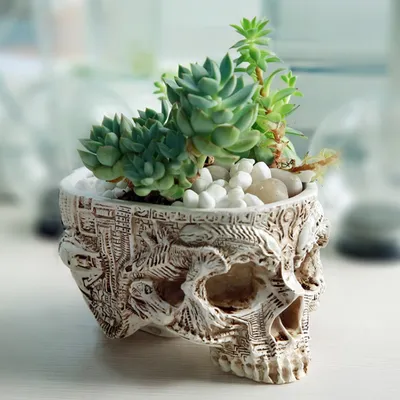 Resin Skull Planter Home Decor Halloween Decoration