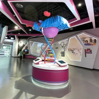 Three-Ball Spiral Motion Interactive Stem Learning Exhibit Children's Science Museum The Essence of Life Exhibit Cell Structure and DNA Visualization Exhibit