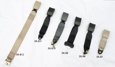 Buckle-2