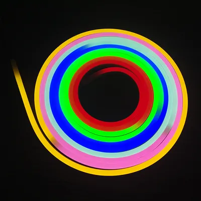 Outdoor 360 Degree Neon Light