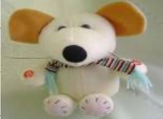 Recordable Stuffed Toy (SK-RT001)
