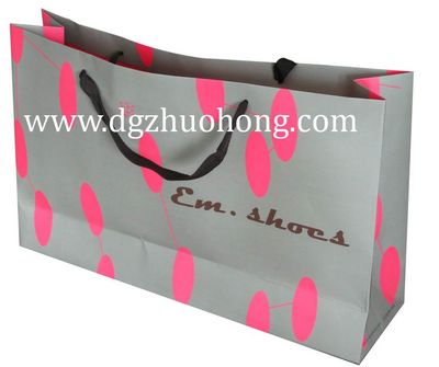 Packaging Bag (ZHUOHOU--PPB)