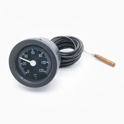 Plastic Case Remote Reading Panel Mount Capillary Thermometer with Circle Dial