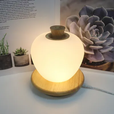 CE RoHS Apple Lamp USB LED Wooden Night Light with Touch Switch