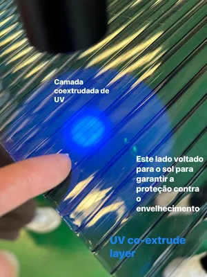 Policarbonato cellular Texturizado Policarbonato Celula