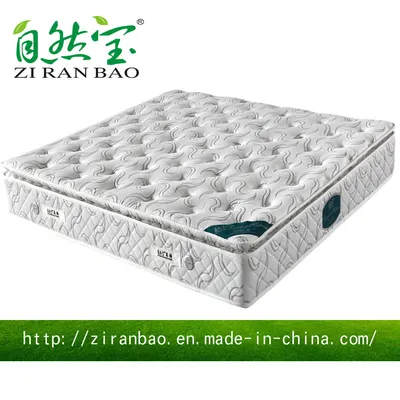 Rollable Compressed Aloe Vera Memory Foam Mattress (ZRB-866)