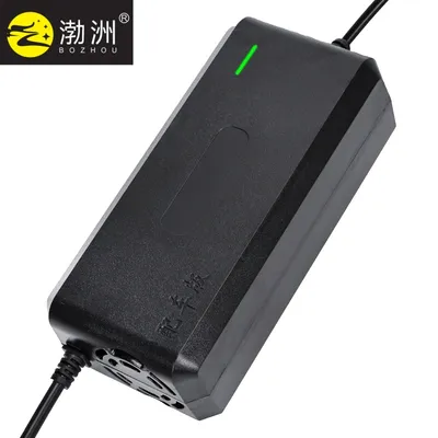 Premium 48V Lead Acid and Li-ion Battery Charger Bz-123