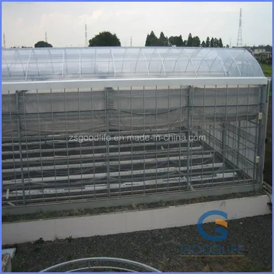 92% Light Transmission Polycarbonate Hollow Sheet for Greenhouse