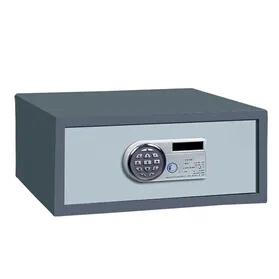 Electronic Digital Safe