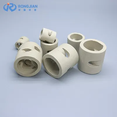 25mm 38mm 50mm 80mm Ceramic Pall Ring Ceramic Filter Media Column Packing Rto Pall Rings
