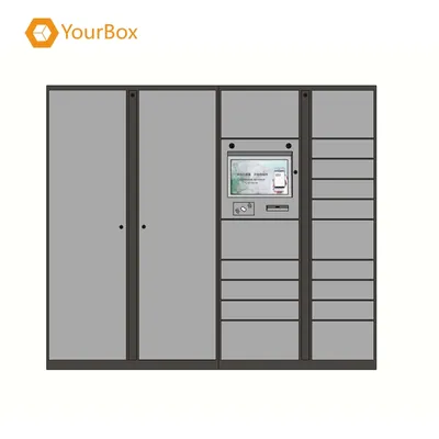 Laboratory Dangerous Goods Chemical Safety Cabinet Anti-Corrosion RFID Storage Cabinet
