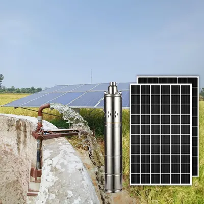 DC 24V Stainless Steel 3 Inch DC Solar Screw Deep Well Submersible Water Pump for Agriculture