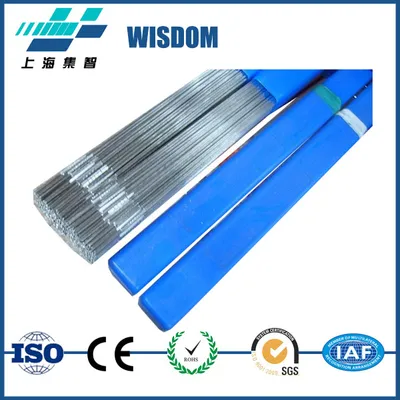 FM61 TIG Erni-1 Asme Sfa 5.14 Welding Rod