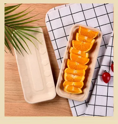 Zhongxin Wholesale Biodegradable Tableware Sugarcane Tray for Meat Fruit Vegetable