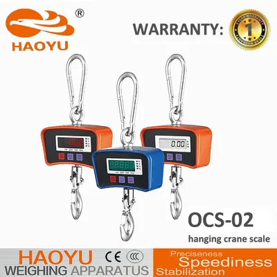 200kg Hanging Scale Crane Scale