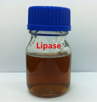 Sell High Concentration Lipase Powder/Liquid in Bulk
