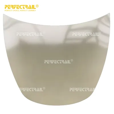 1081390-E0-C Factory Custom Auto Parts Engine Hood for Tesla Model 3 2019-2021 Electric Car