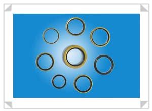 Oil Seal-1