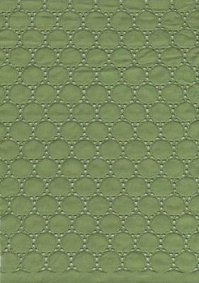 Cotton Voile with Embroidery (YF0620)