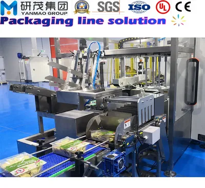 Horizontal Side Loading Filling Case Packer/Carton Box Packing/Packaging Machine/ for Tissue Paper/Drinking/Food Packing