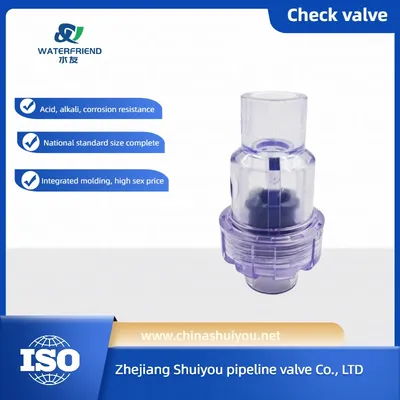 National Standard Transparent PVC Check Valve