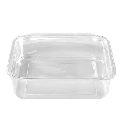 Clear Rectangular Plastic Container with Hinged Lid ID2281