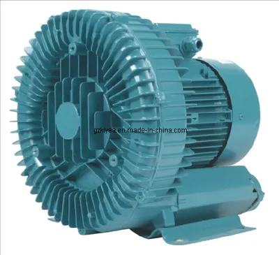 China Made Gas Ring Vacuum Pump (APP) for Pool
