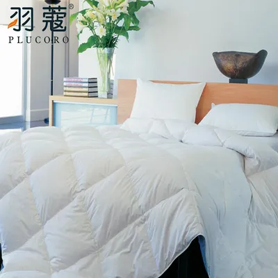 Henan Zhonhon Heavy Industry Technology Co., Ltd.