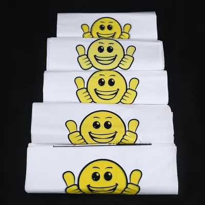 Wholesale PE/LDPE Custom Printing Shopping Plastic Bags with Own Logo