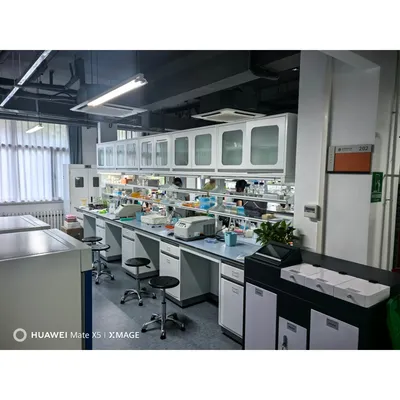 Laboratory Grade China Factory Supply Customized Integrated Biological Lab Bench