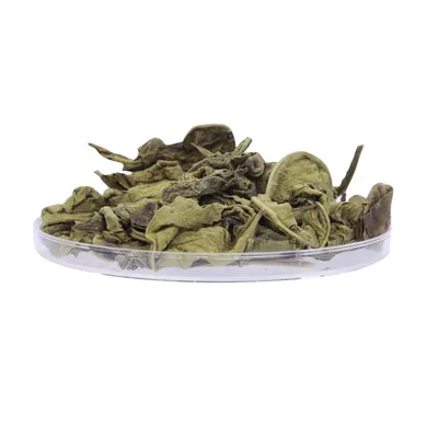 High Grade Premium Customized 100% Nature Fresh Raw Tea