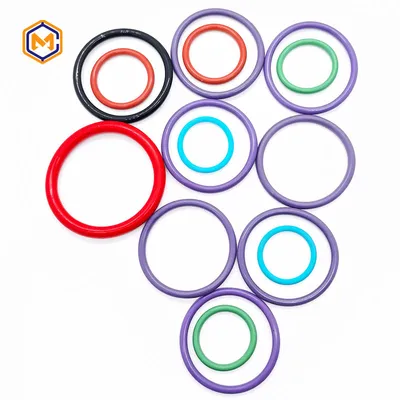 Standard NBR EPDM Silicone FKM HNBR Buna O-Ring Oil Seal