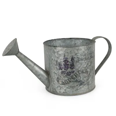 Natural Galvanized Garden Water Can with Flower Pattern